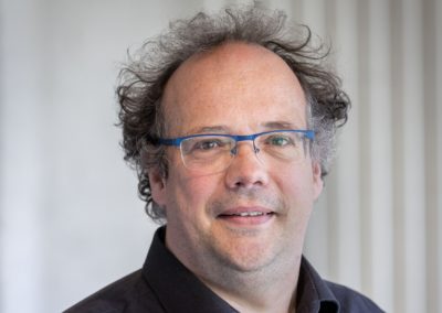 Prof. dr. ir. Ibo van de Poel