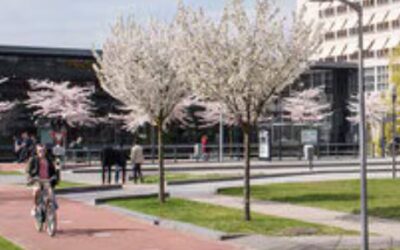 PhD Position Conceptual Engineering as Political Struggle – Vacancy – Closed –