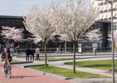 PhD Position Conceptual Engineering as Political Struggle (Vacancy)